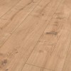 Panele podłogowe Ter Hürne Dureco Strong Classic Edition Dąb Elba AC5 12mm