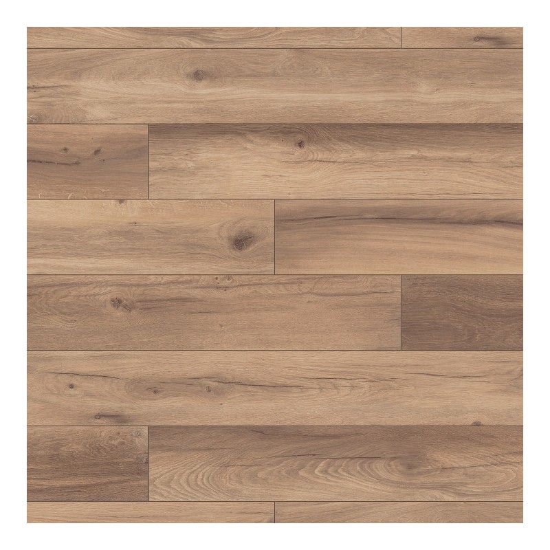 Panele podłogowe Ter Hürne Dureco Strong Classic Edition Dąb Madeira AC5 12mm