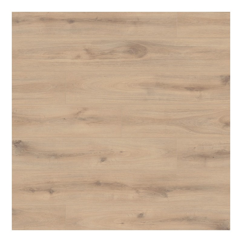 Panele podłogowe Ter Hürne Dureco Strong Classic Edition Dąb Zanzibar AC5 12mm