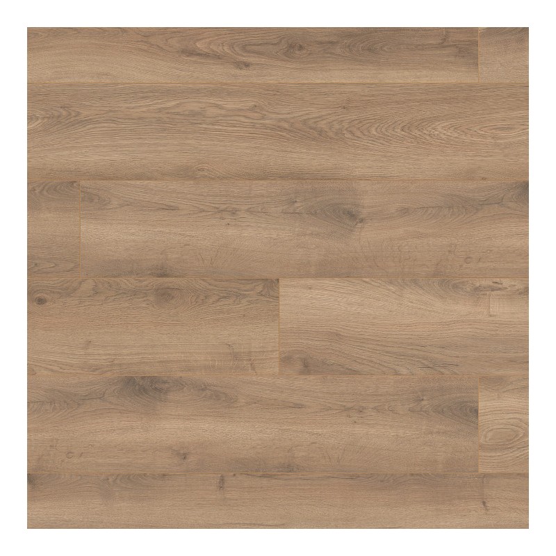 Panele podłogowe Ter Hürne Dureco Strong Grand Edition Dąb Arousa AC5 12mm