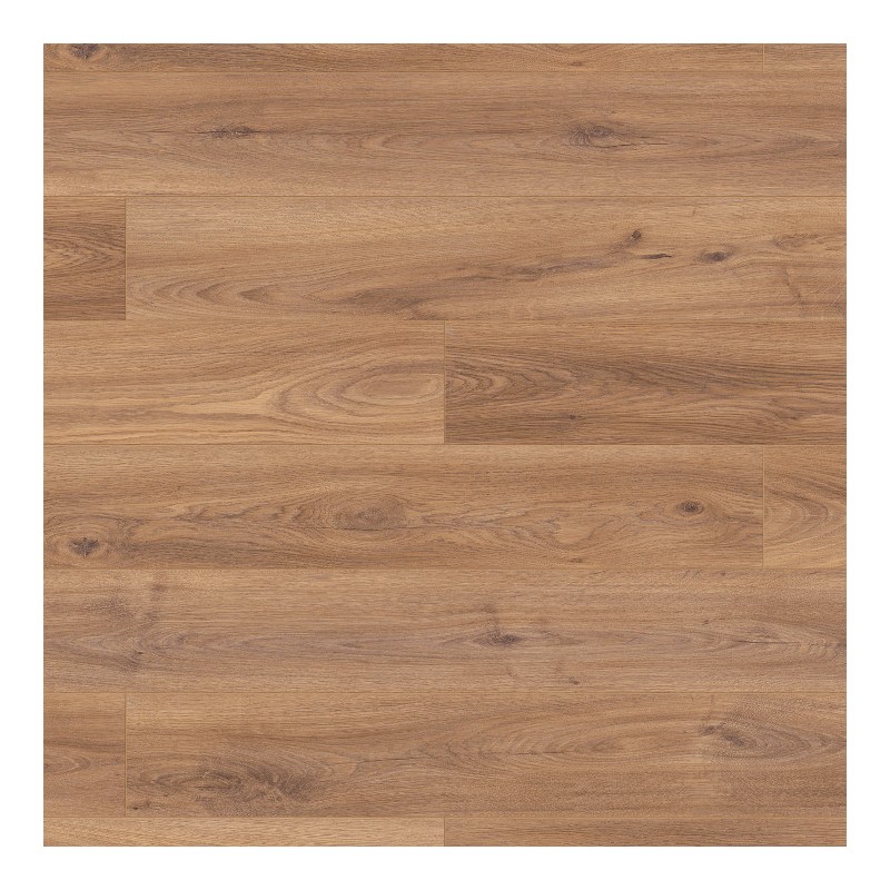 Panele podłogowe Ter Hürne Dureco Strong Grand Edition Dąb Bonaire AC5 12mm