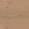 Panele hybrydowe Ter Hürne Hywood Classic EVO Dąb Nieuw Land 11mm