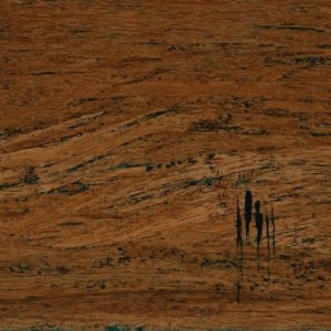 Podłoga bambusowa Wild Wood Bambus Karmel Java 14mm