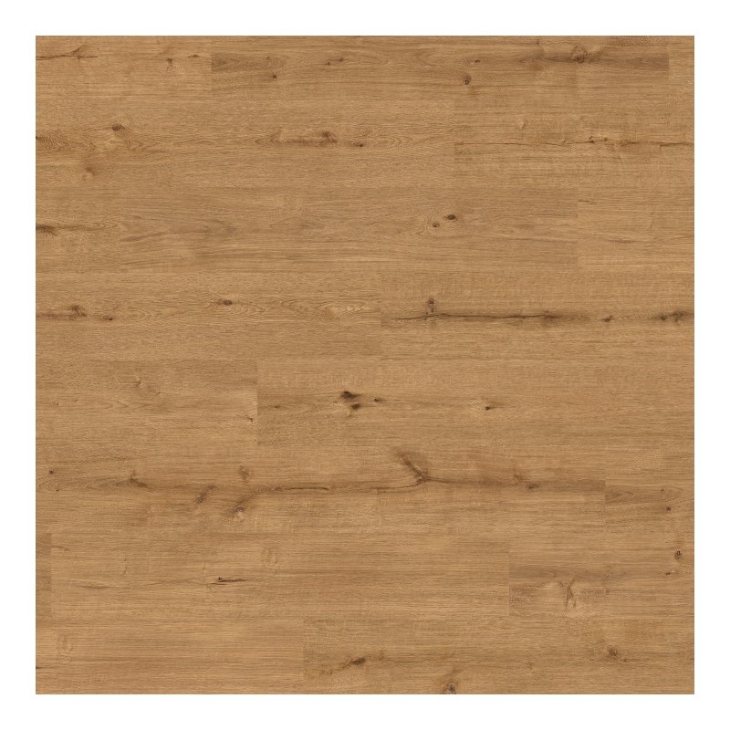 Panele winylowe Ter Hürne Avatara Pro Classic Edition Dąb Askella AC6 2,5mm
