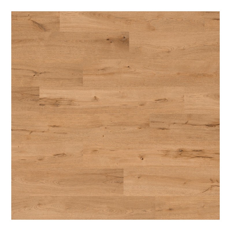 Panele winylowe Ter Hürne Avatara Pro Classic Edition Dąb Banta AC6 2,5mm