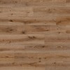 Panele winylowe Ter Hürne Avatara Pro Classic Edition Dąb Lyra AC6 2,5mm
