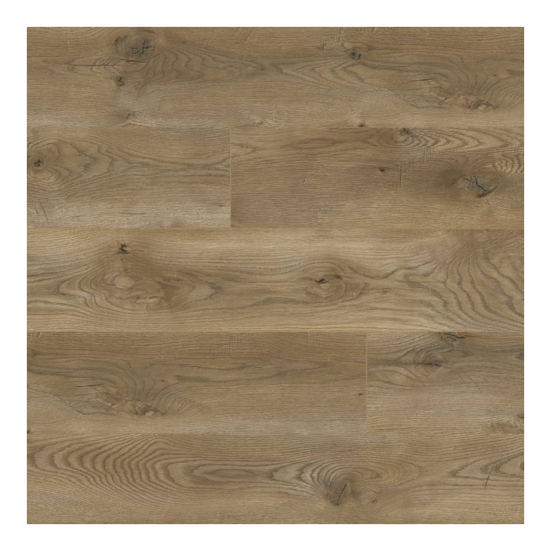 Panele podłogowe Classen Euphoria Dąb Palermo 64851 AC5 8mm