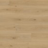 Panele podłogowe Pergo Perstorp Dąb Winnica L0370-05023 AC4 8mm