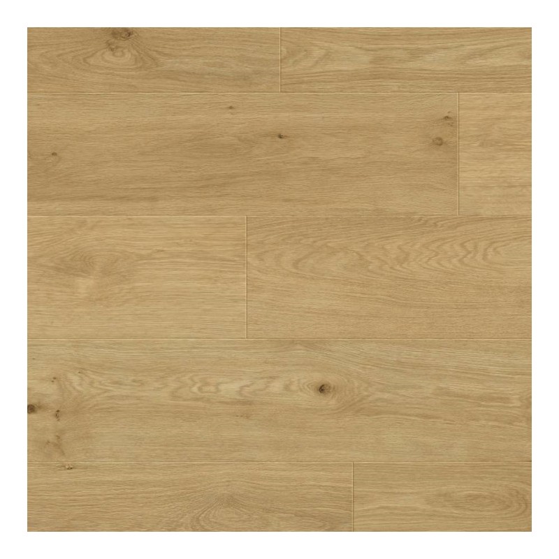 Panele podłogowe Metamorphose Belgium Water Protect AC4 Plus Leie 995736 8mm