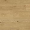 Panele podłogowe Metamorphose Belgium Water Protect AC4 Plus Leie 995736 8mm