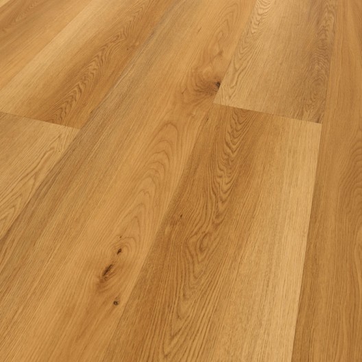 Panele winylowe Ter Hürne Sōya New Generation Pro Deska długa Dąb Catania 1101210437 2.5mm