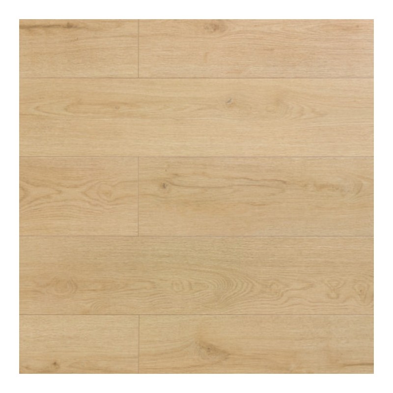 Panele podłogowe Weninger Ambiance 100h Dąb Caspiana 605 AC5 8mm