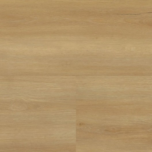 Panele winylowe Wineo 800 wood XL Glue Bradford Oak Honey DB835WXL 23/33/42 2.5mm