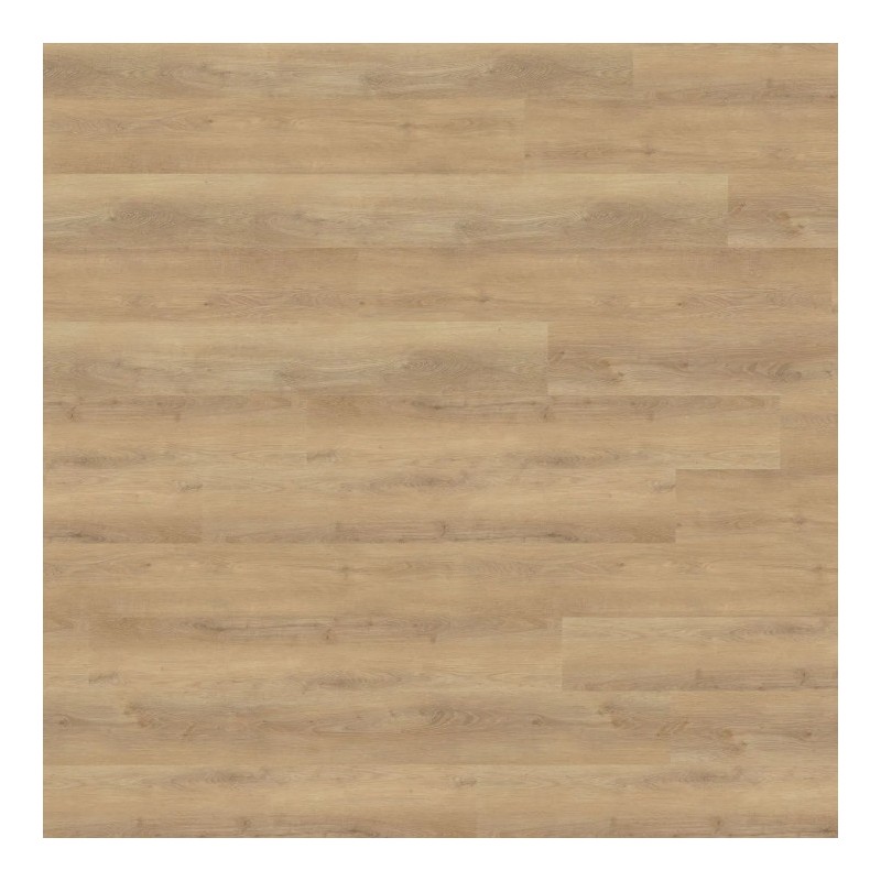 Panele winylowe Wineo 800 wood XL Glue Dalen Oak Nature DB834WXL 23/33/42 2.5mm