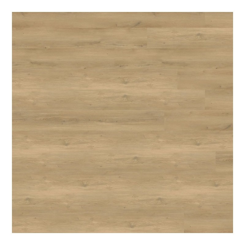 Panele winylowe Wineo 800 wood XL Glue Stavanger Oak Nature DB833WXL 23/33/42 2.5mm