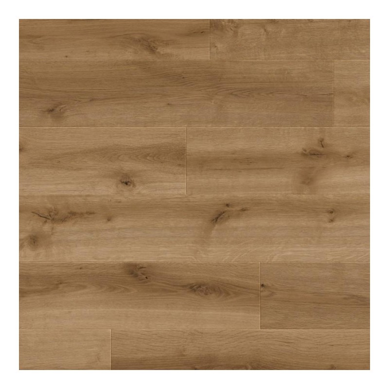 Panele podłogowe Metamorphose Belgium Water Protect AC4 Plus Ren 988736 8mm