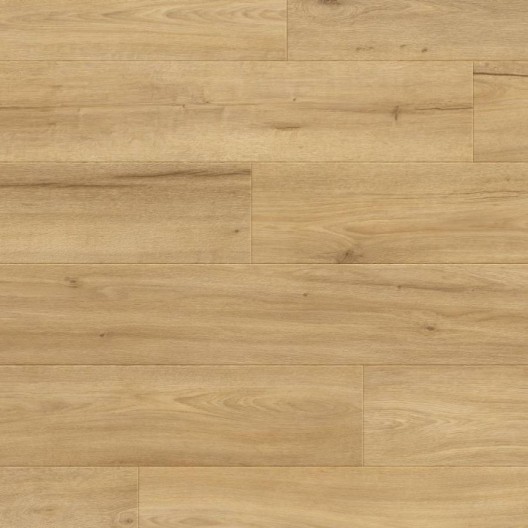 Panele podłogowe Metamorphose Belgium Water Protect AC4 Plus Sekwana 988947 8mm