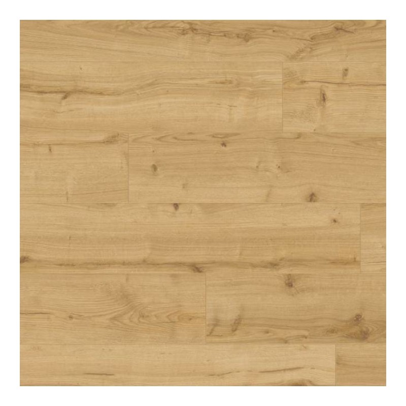 Panele podłogowe Metamorphose Belgium Water Protect Magdalena 900877 AC5 8mm