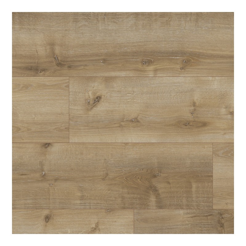Panele podłogowe Classen Casa Victory Dąb Cavello 64594 AC5 7mm