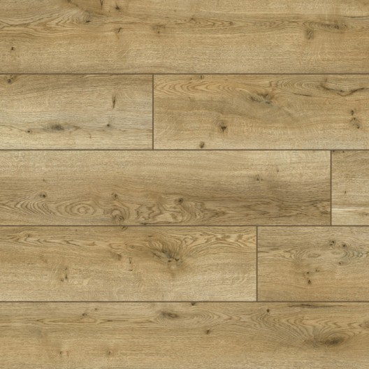 Panele podłogowe Classen Casa Prima Nashville Oak 62913 AC5 7mm