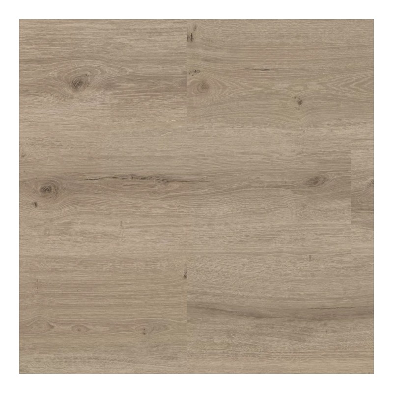 Panele winylowe Joka Designboden 255 Dryback Royal Oak Grey 590-5 23/32 2mm