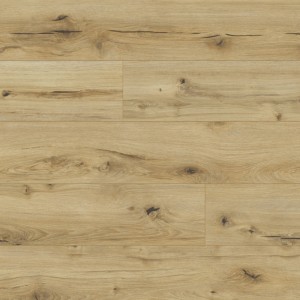 Panele podłogowe Classen Arteo 8 M Dąb Anargosa 62747 AC5 8mm