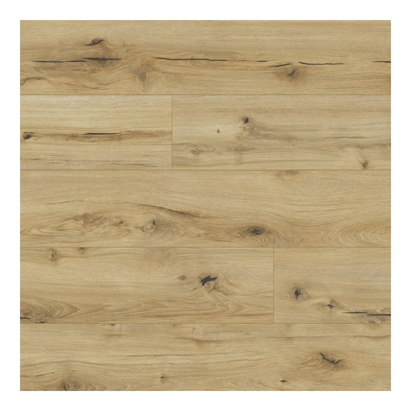 Panele podłogowe Classen Arteo 8 M Dąb Anargosa 62747 AC5 8mm