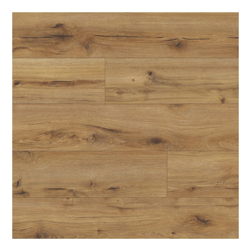 Panele podłogowe Classen Arteo 8 M Dąb Erg 62750 AC5 8mm