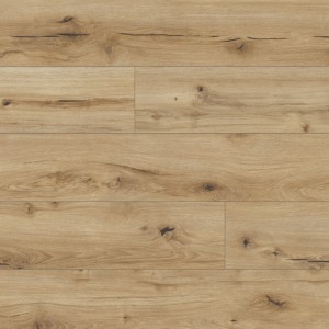 Panele podłogowe Classen Arteo 8 M Dąb Gibson 62751 AC5 8mm