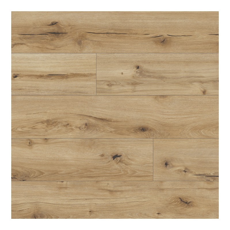 Panele podłogowe Classen Arteo 8 M Dąb Gibson 62751 AC5 8mm