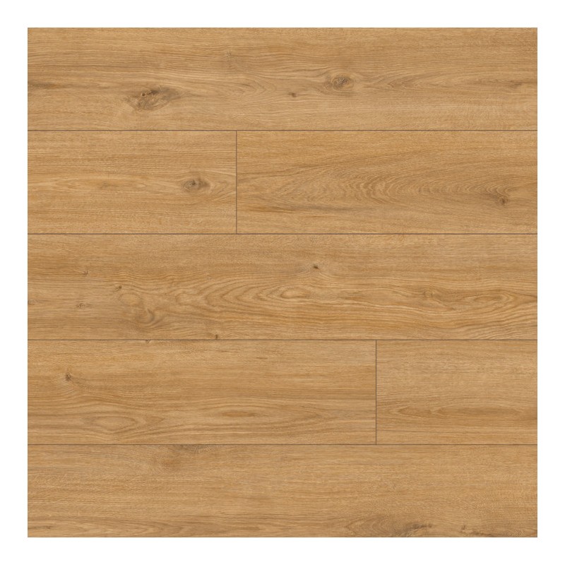 Panele podłogowe Classen Arteo 8 M Dąb Hamra 62752 AC5 8mm