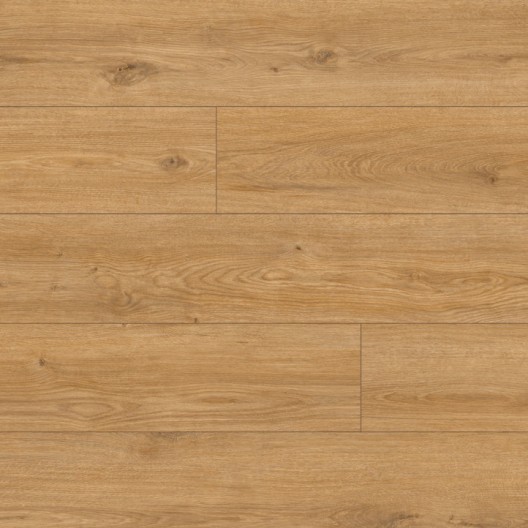 Panele podłogowe Classen Arteo 8 M Dąb Hamra 62752 AC5 8mm