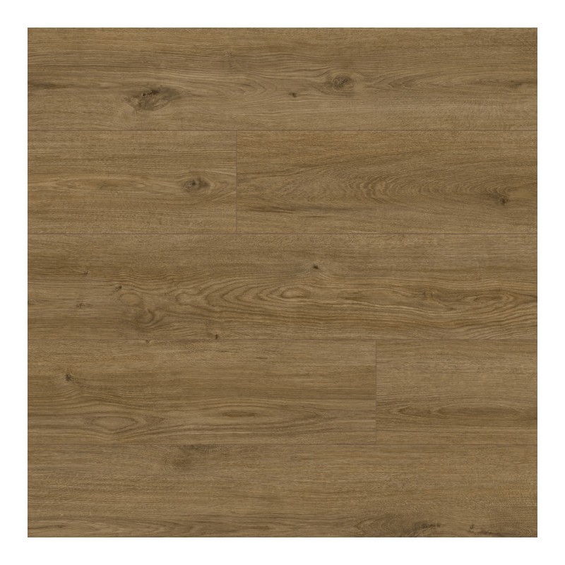Panele podłogowe Classen Arteo 8 M Dąb Kotor 62755 AC5 8mm