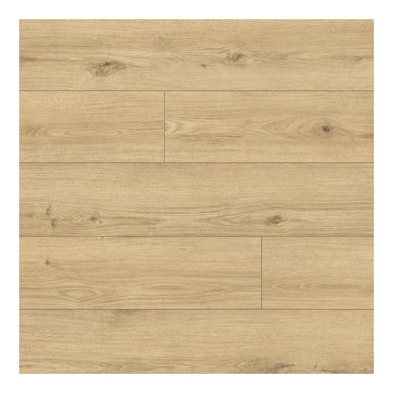 Panele podłogowe Classen Arteo 8 M Dąb Namib 62757 AC5 8mm