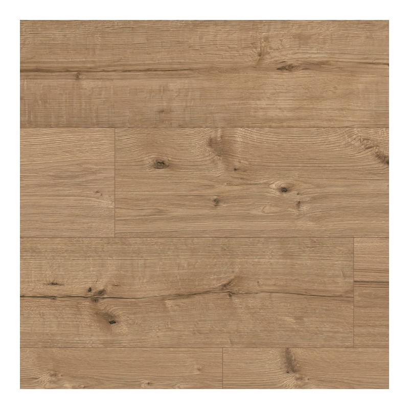 Panele podłogowe Classen Arteo 8 XL Dąb Adler 55085 AC5 8mm