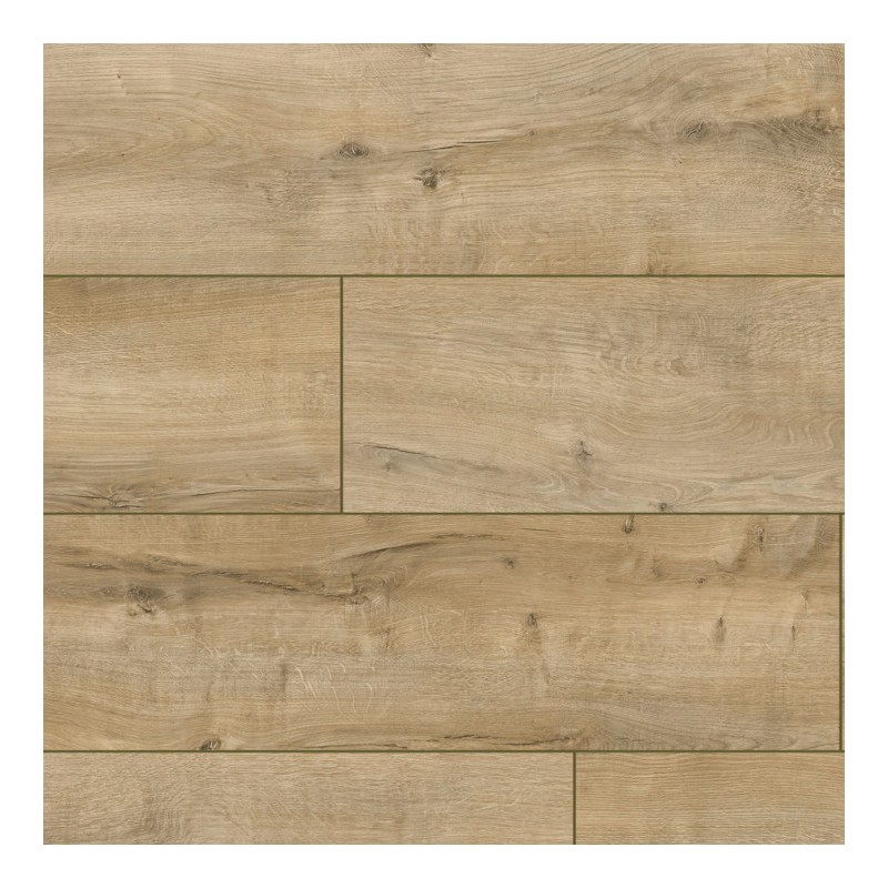 Panele podłogowe Classen Arteo 8 XL Dąb Connemara 54807 AC5 8mm