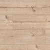 Panele podłogowe Classen Arteo 8 XL Dąb Gibson 55087 AC5 8mm