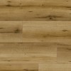Panele podłogowe Classen Arteo 8 XL Dąb Kruger 54830 AC5 8mm