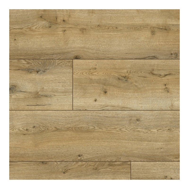 Panele podłogowe Classen Arteo 8 XL Dąb Nakuru 54813 AC5 8mm