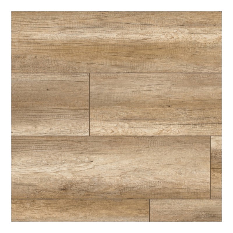 Panele podłogowe Classen Arteo 8 XL Dąb Sipadan 54814 AC5 8mm