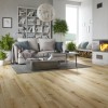 Panele podłogowe Classen Arteo 8 XL Dąb Denali 54831 AC5 8mm