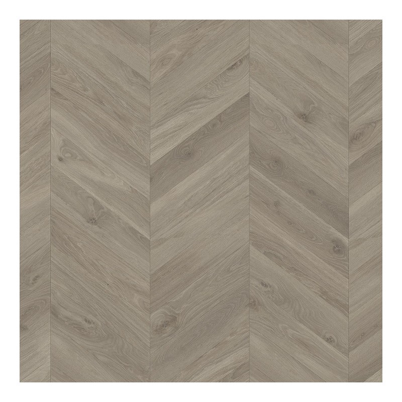 Panele podłogowe Parador TrendTime 8 Dąb Loire szary 1748771 8mm