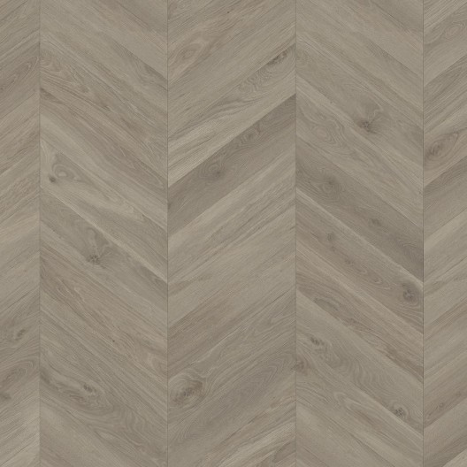 Panele podłogowe Parador TrendTime 8 Dąb Loire szary 1748771 8mm
