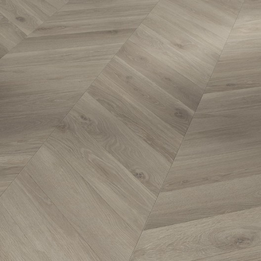 Panele podłogowe Parador TrendTime 8 Dąb Loire szary 1748771 8mm