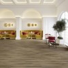 Panele winylowe Joka Designboden 555 Dryback Cinnamon Oak 5311 23/33/42 2.5mm
