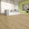 Panele winylowe Joka Designboden 555 Dryback French Blond Oak 5205 23/33/42 2.5mm