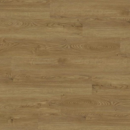 Panele winylowe Joka Designboden 555 Dryback Honey Oak 5524 23/33/42 2.5mm