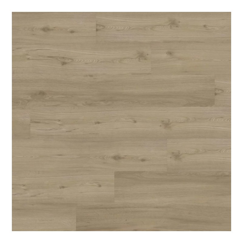 Panele winylowe Joka Designboden 555 Click Spring Oak 509 23/33/42 6mm