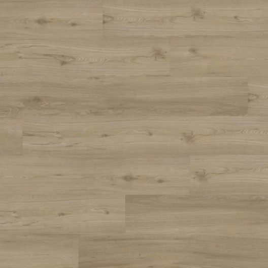 Panele winylowe Joka Designboden 555 Click Spring Oak 509 23/33/42 6mm