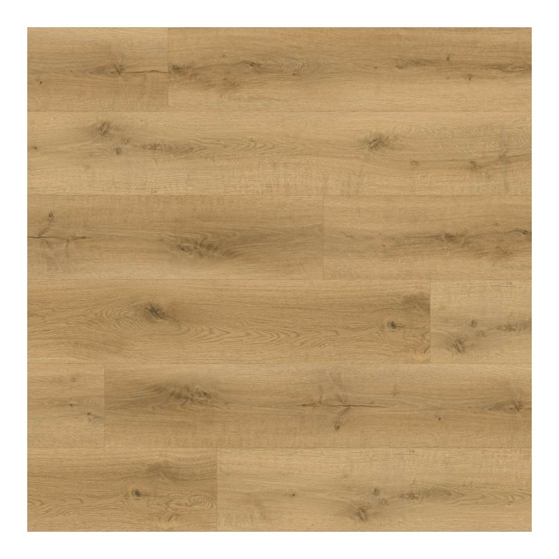Panele winylowe Premium Floor Omnia Dąb Aristo 99024 6mm